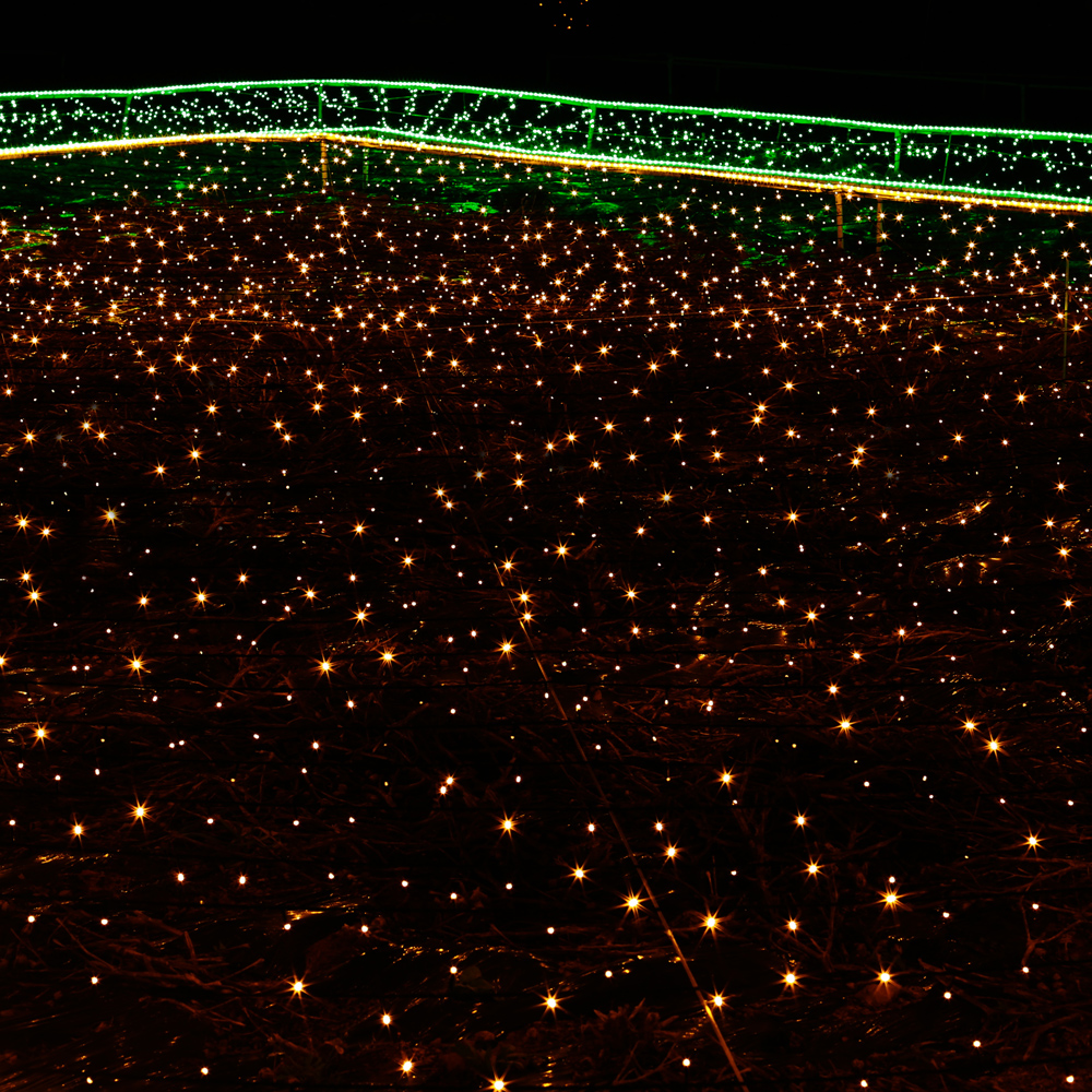 100구 투명선 LED 지니전구 10M 점멸 웜색 트리전구 크리스마스 트리조명