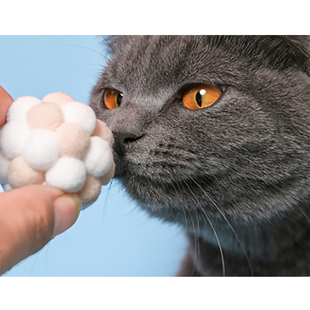 캣트리 고양이장난감 공 6p세트 반려묘 소프트 방울볼 고양이장난감공 고양이공장난감