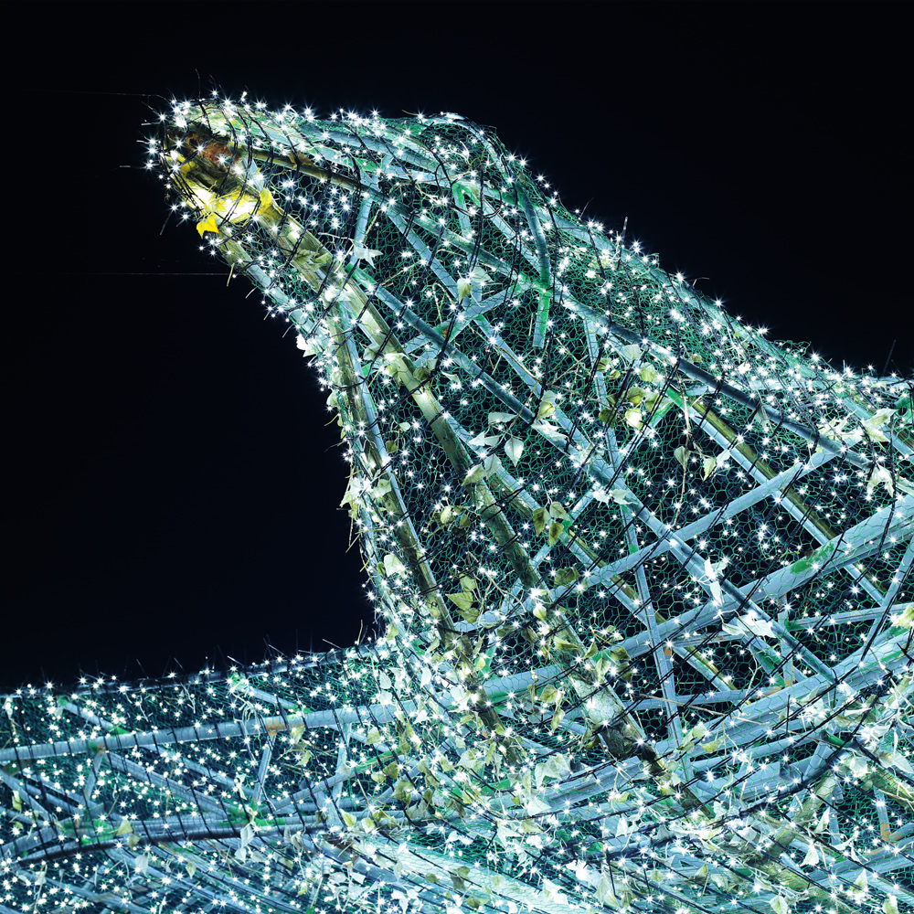 은하수 500구 녹색선 LED 백색 지니전구 50M 점멸 크리스마스 트리전구 트리조명