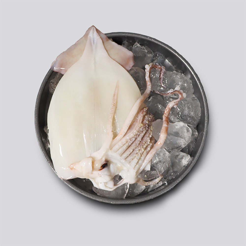 [청정바다] 손질 오징어 파치 1kg 내외