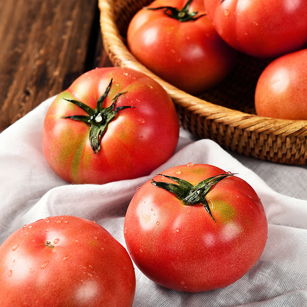 [초록자연] 완숙 토마토 5kg (3번) 빨간 과육 찰토마토