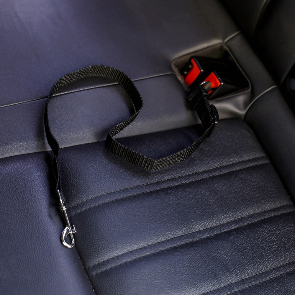 펫가드 애견 차량 안전벨트 3p세트 반려견차량용목줄 강아지안전벨트 애견안전벨트
