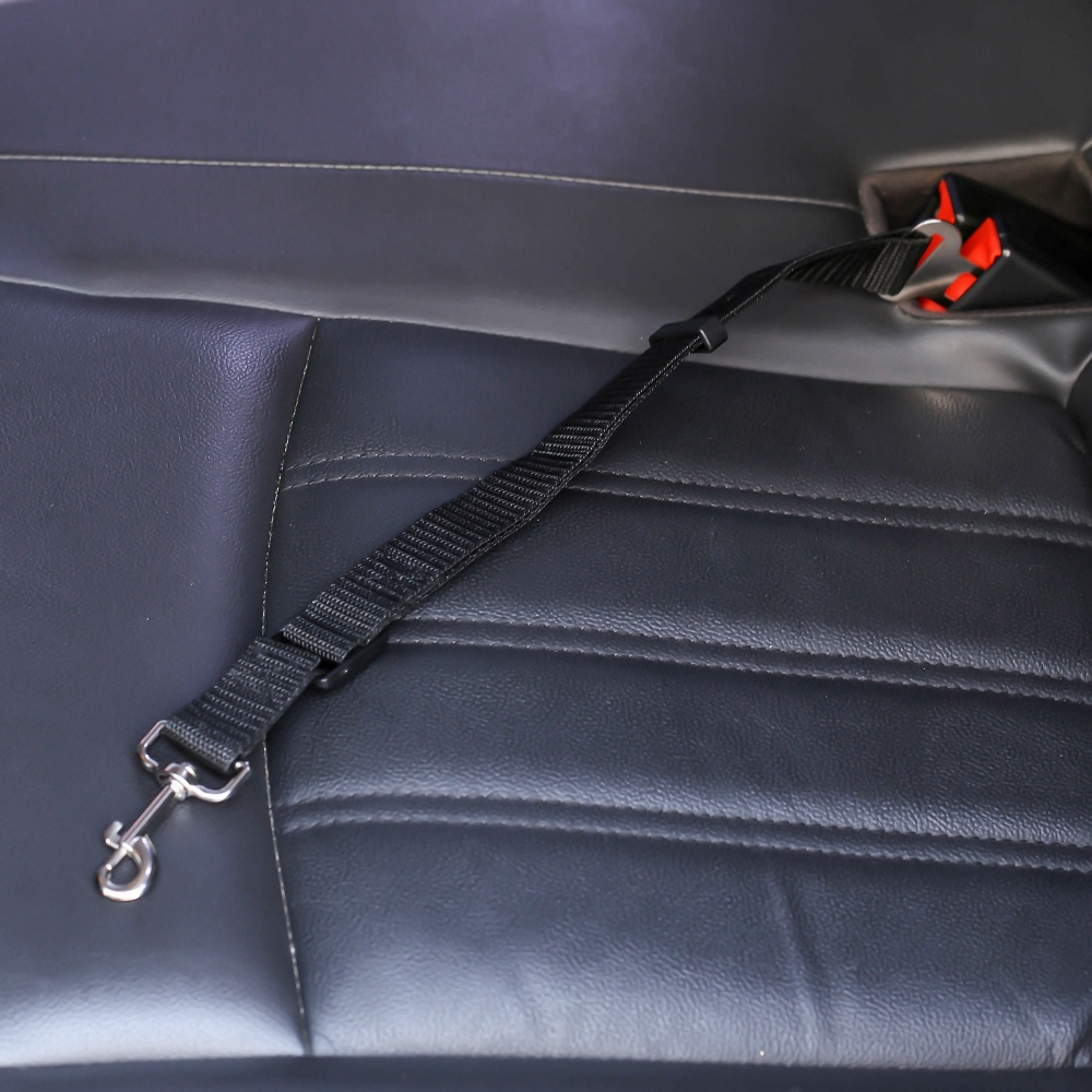 펫가드 애견 차량 안전벨트 3p세트 반려견차량용목줄 강아지안전벨트 애견안전벨트