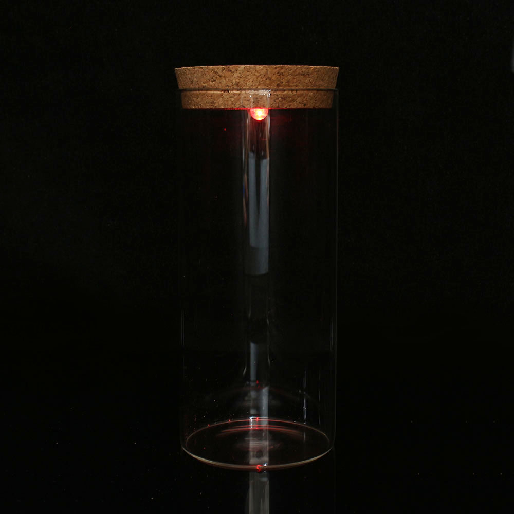 마리모 키우기 LED 유리병 수경식물키우기 마리모키우기 마리모병 마리모어항 유리공병