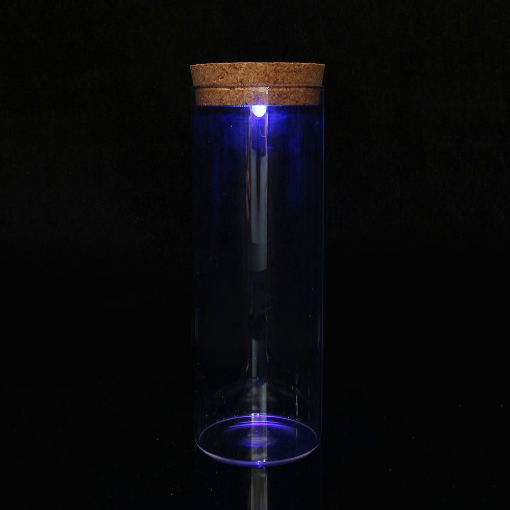 마리모 키우기 LED 유리병 반려식물 코르크병 마리모키우기 마리모병 마리모어항