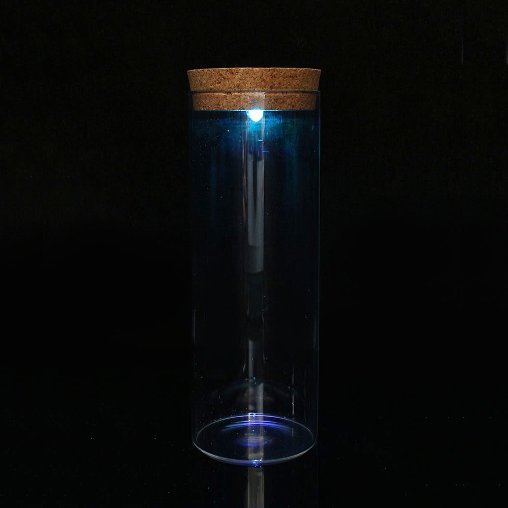 마리모 키우기 LED 유리병 반려식물 코르크병 마리모키우기 마리모병 마리모어항