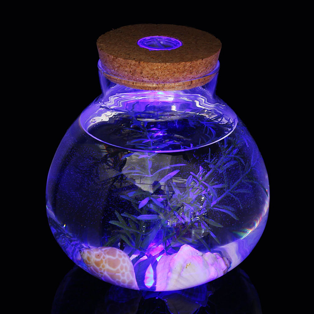 마리모 키우기 LED 유리병 반려식물 테라리움 마리모키우기 마리모병 마리모어항