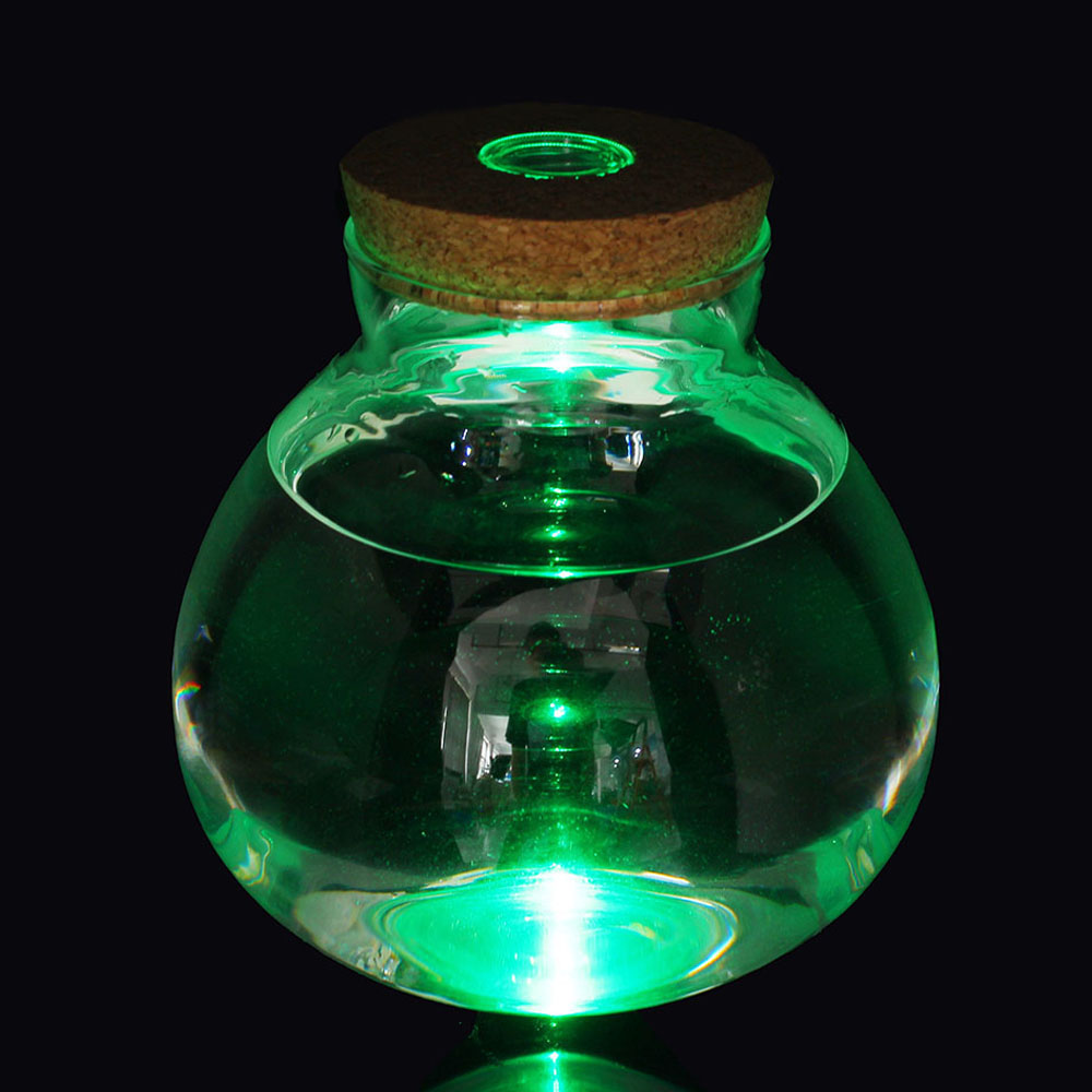 마리모 키우기 LED 유리병 반려식물 테라리움 마리모키우기 마리모병 마리모어항