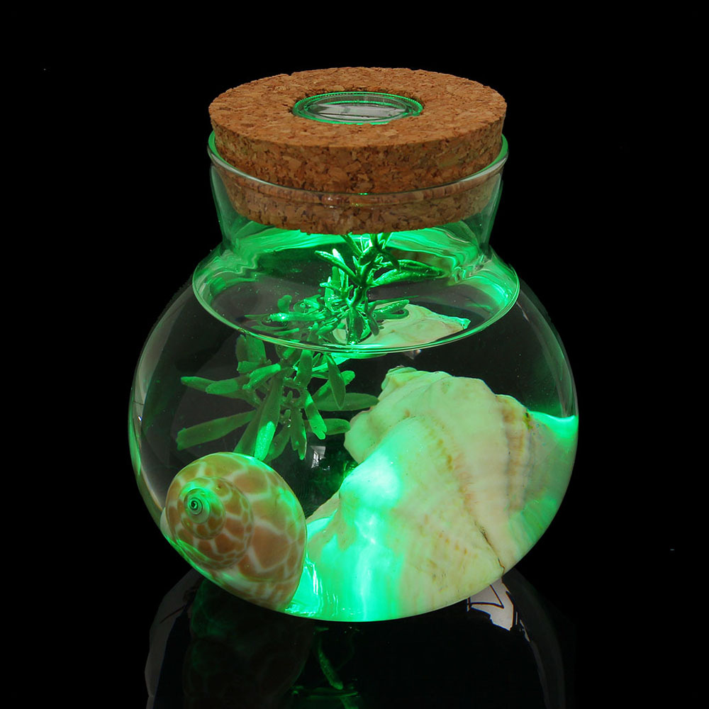 마리모 키우기 LED 유리병 수경 반려식물 유리공병 마리모키우기 마리모병 마리모어항