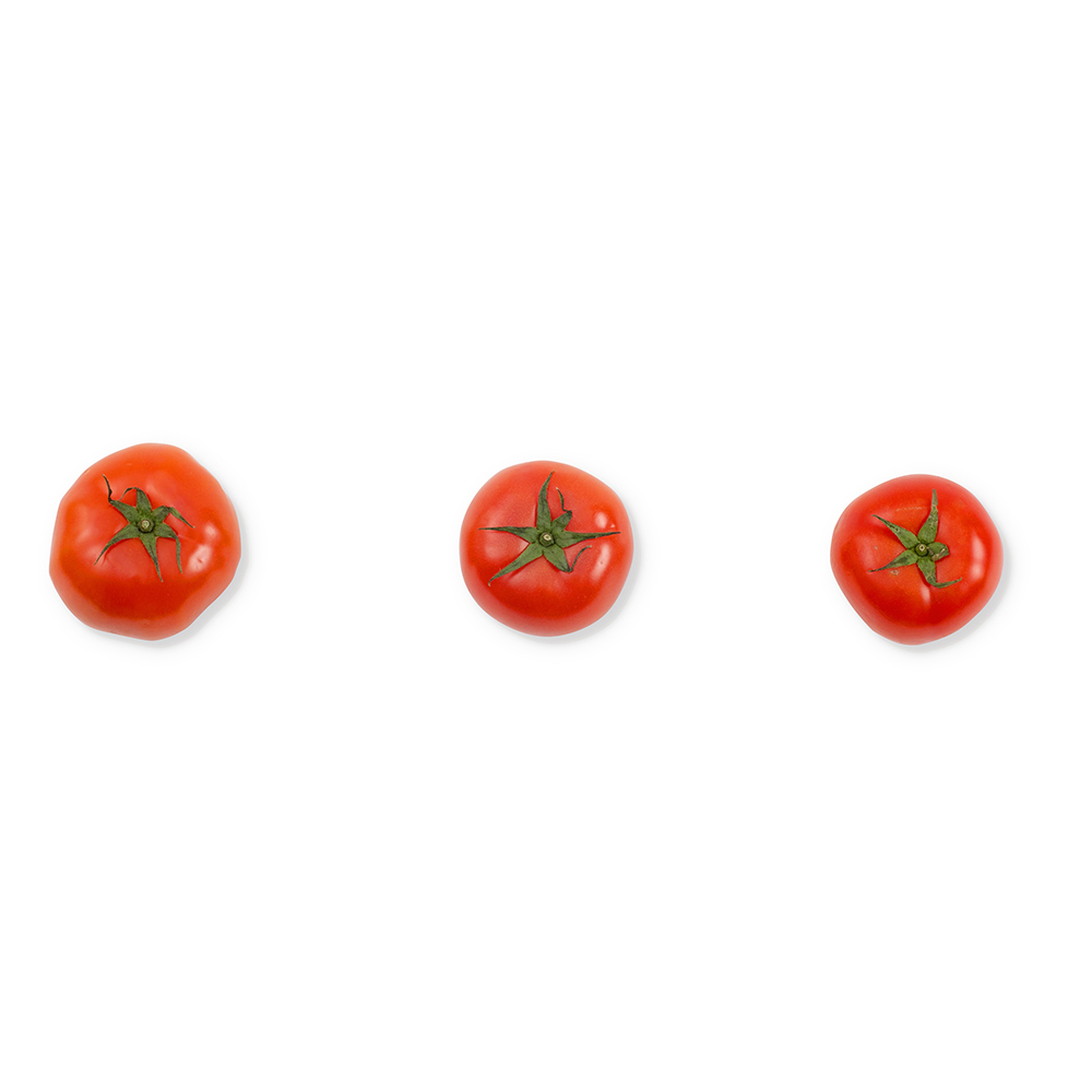 [초록자연] 완숙 토마토 2.5kg 찰도마토