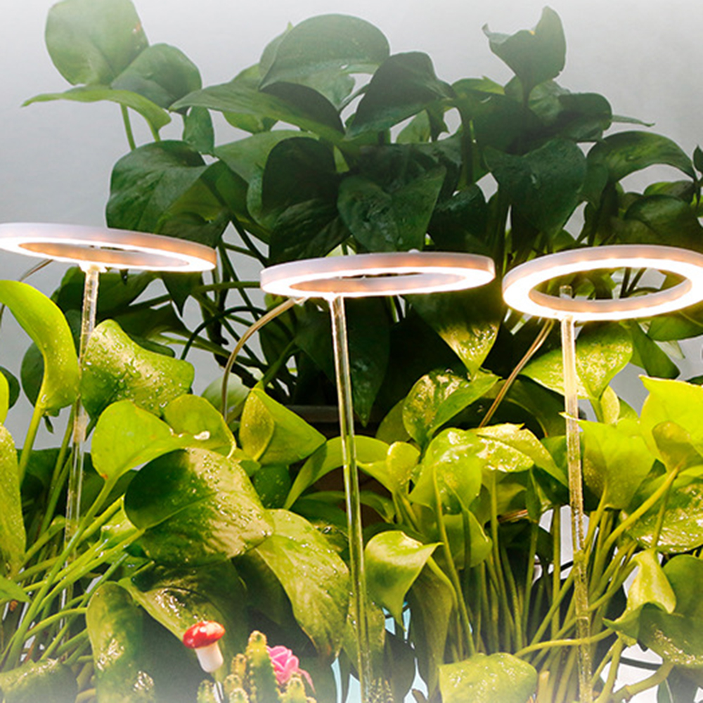 엔젤링 화분 LED 식물등 3헤드 웜색 생장 식물조명 식물생장등 식물성장등 식물전구