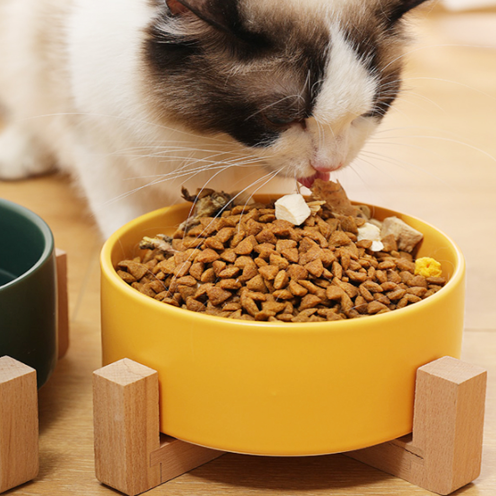 반려동물 우드받침 도자기식기 16cm 고양이밥그릇 강아지도자기식기 고양이도자기식기