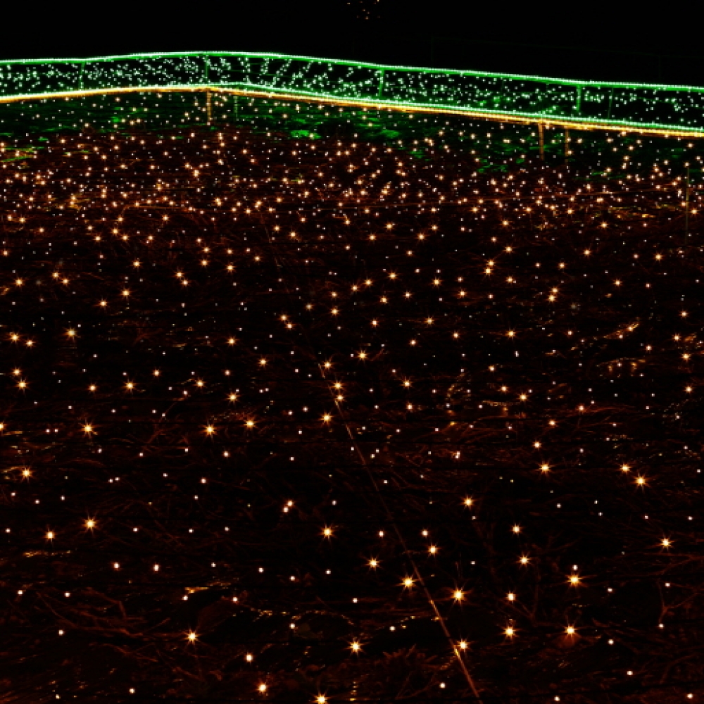 오스타 LED 1000구 녹색선 웜색 줄전구 100m 파티조명