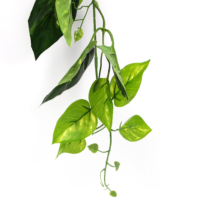 초록 잎사귀 인조 넝쿨 한다발 벽장식 조화넝쿨 조화 넝쿨조화 덩쿨조화 인조넝쿨 인테리어조화